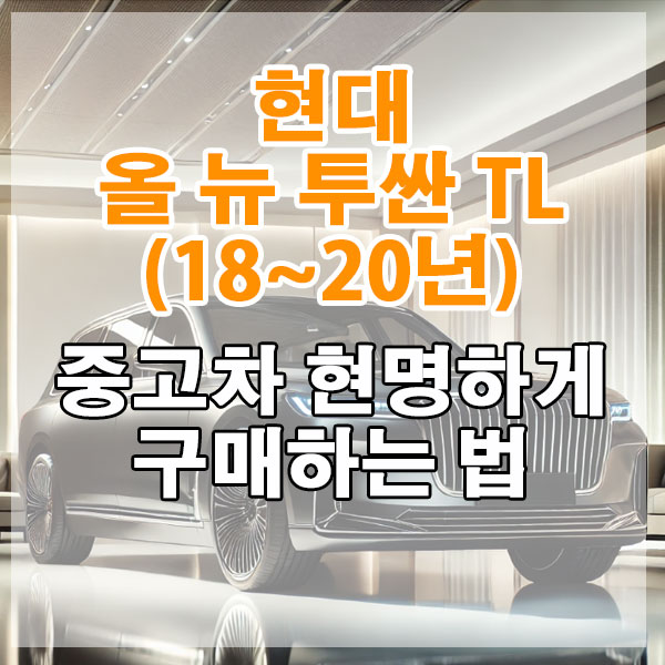 현대 올 뉴 투싼 TL(18~20년) 중고차 현명하게 구매하는 법