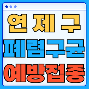 부산 연제구 폐렴구균 백신 무료 예방접종 비용지원 가격 신청방법 대상자 간격 13가 15가 20가 23가