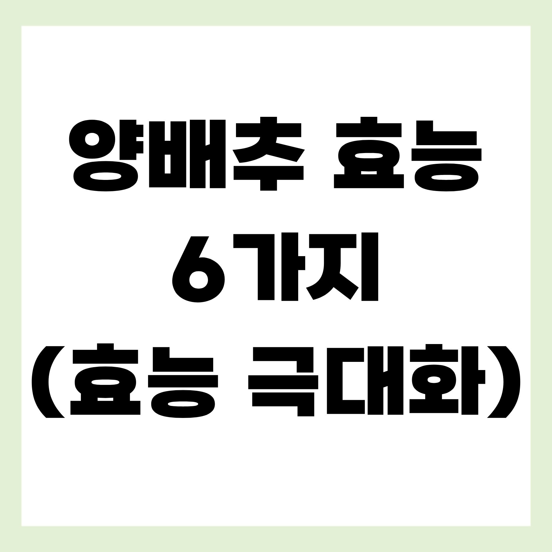 양배추 효능 6가지