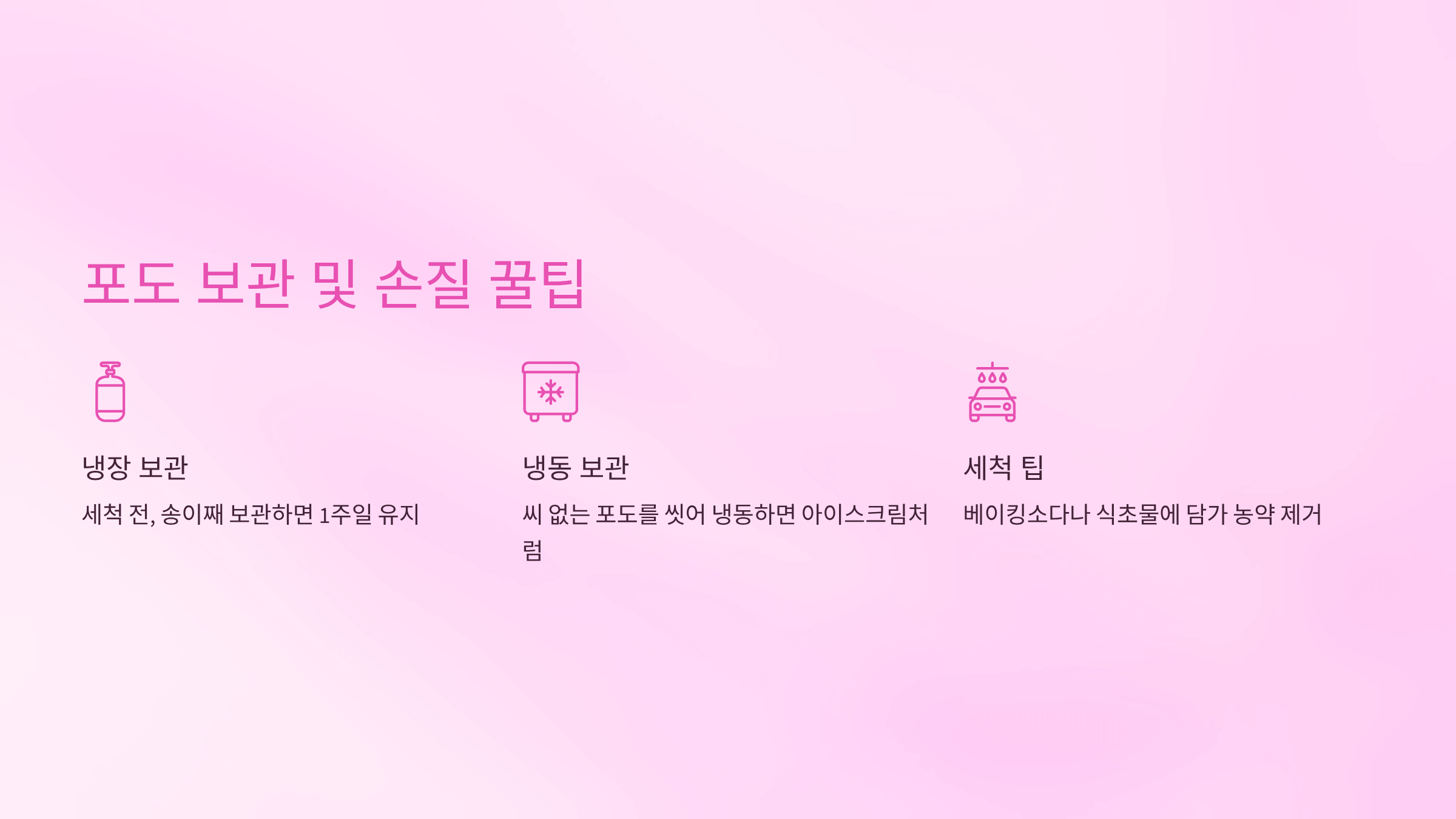 포도 사진입니다.