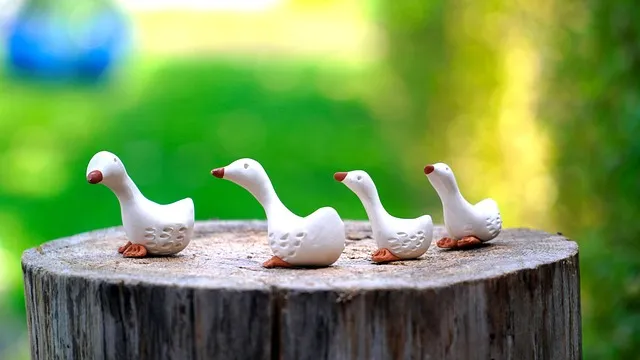 장마 예보 2025년 예상 지역별 강수 시기와 대비책 정리_9