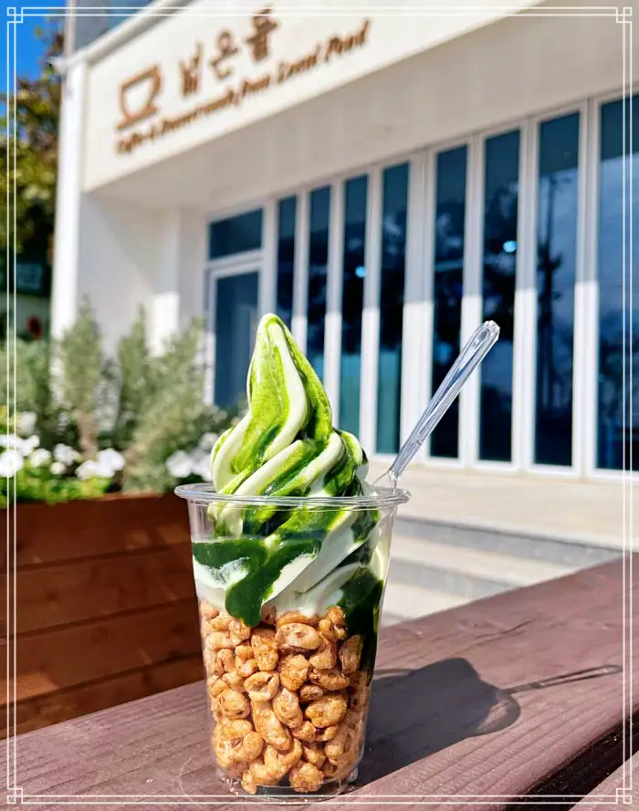 전북 고창 맛집 베이커리 디저트 새싹보리 크로아상