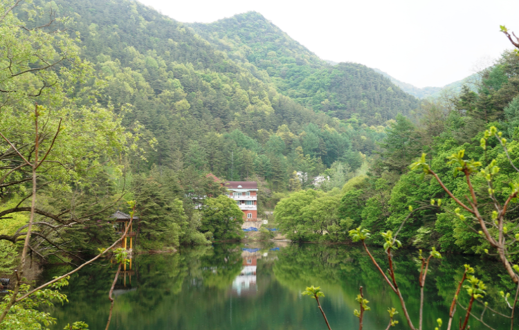 속리산 말티재 자연휴양림