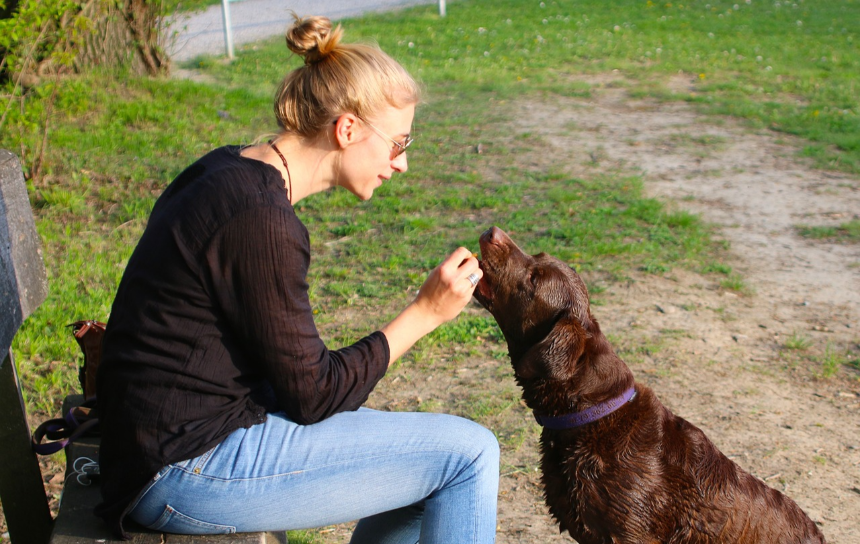 즉시적 보상이 근본