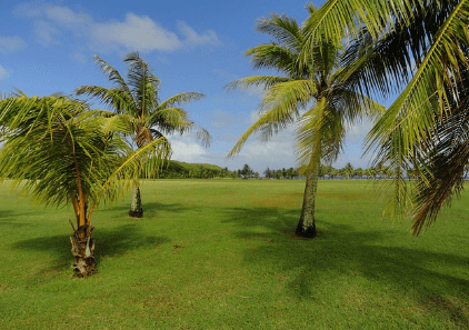 괌 여행하기 좋은 계절, 준비물, 먹거리