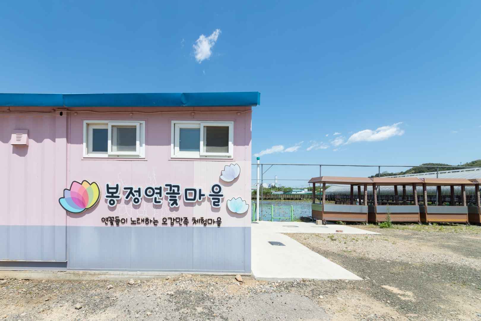 동해 봉정연꽃마을