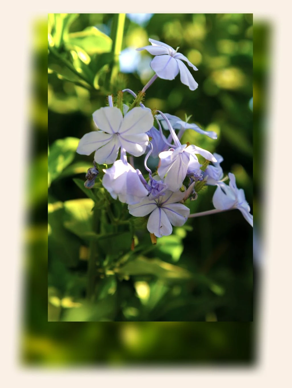 쾌변 습관_2_subsection