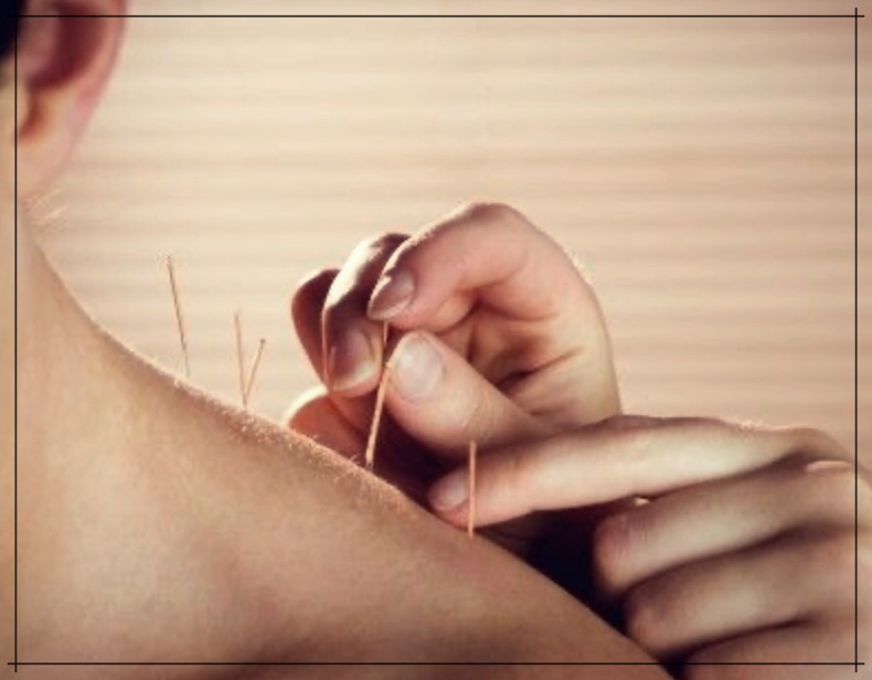 봉침의 놀라운 효능에 대한 이야기