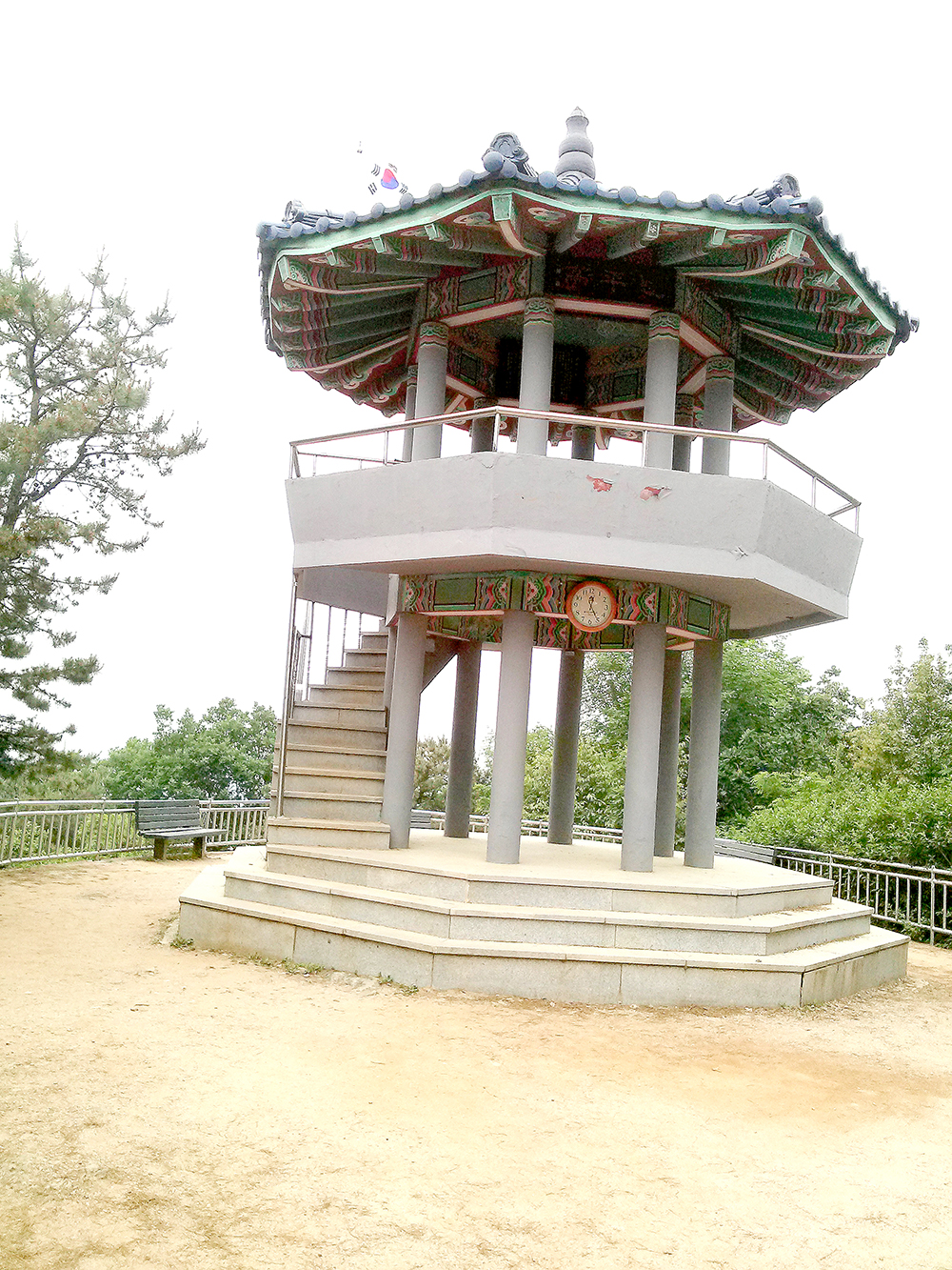 백련산(Baengnyeonsan Mountain)의 소나무 능선길