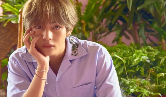 뷔 음색 분석: 깊고 따뜻한 저음의 매력