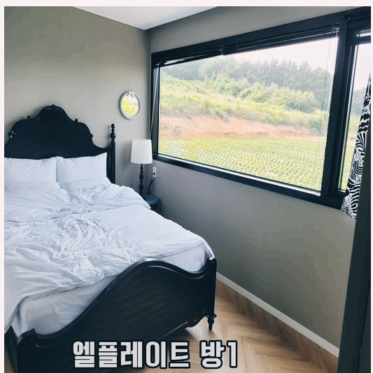 엘플레이트 방1