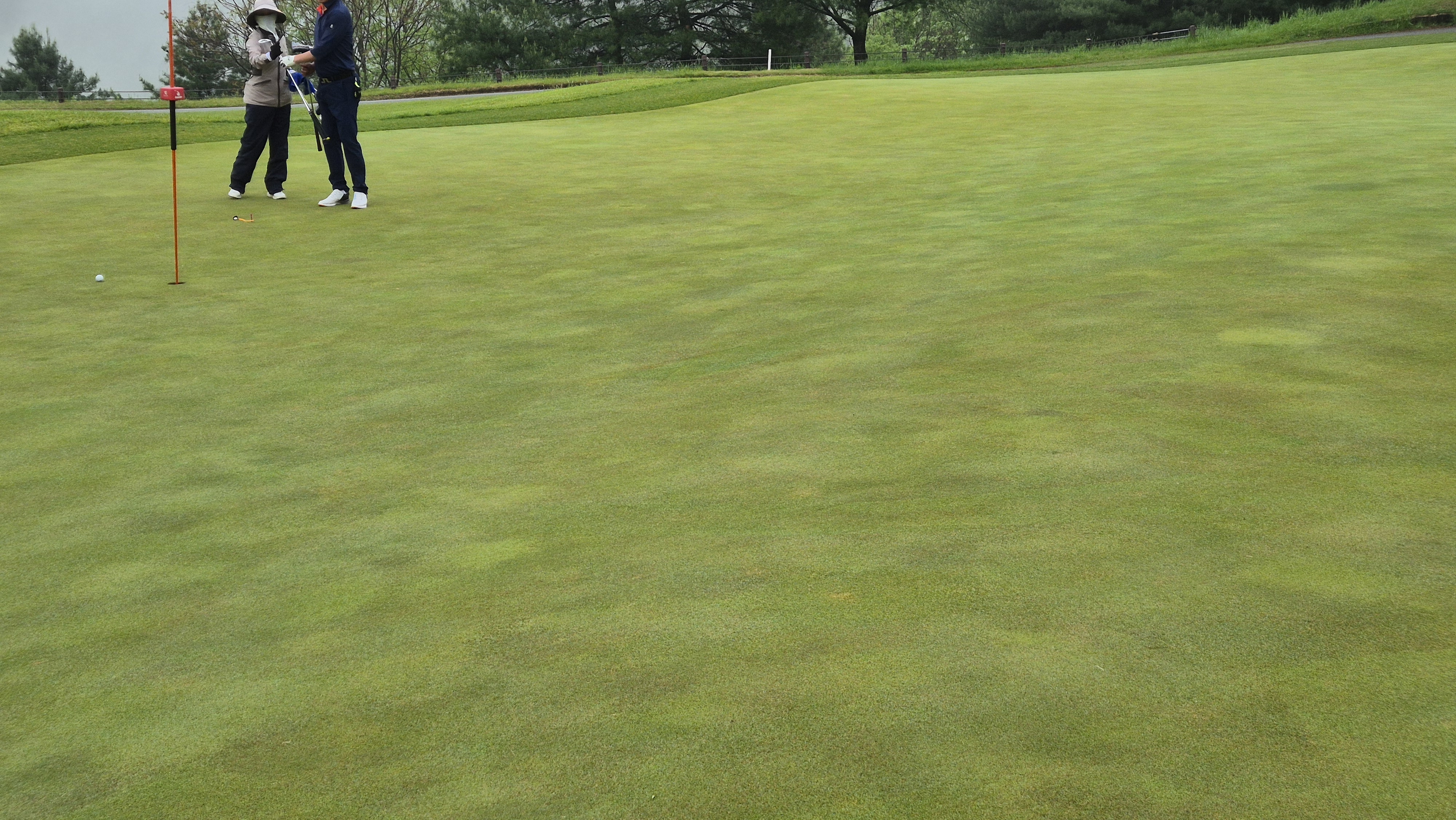 엘리시안 강촌cc 라운드 후기