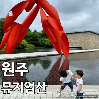 원주 가볼만한곳 베스트10 자연과 도심 명소 총정리_19