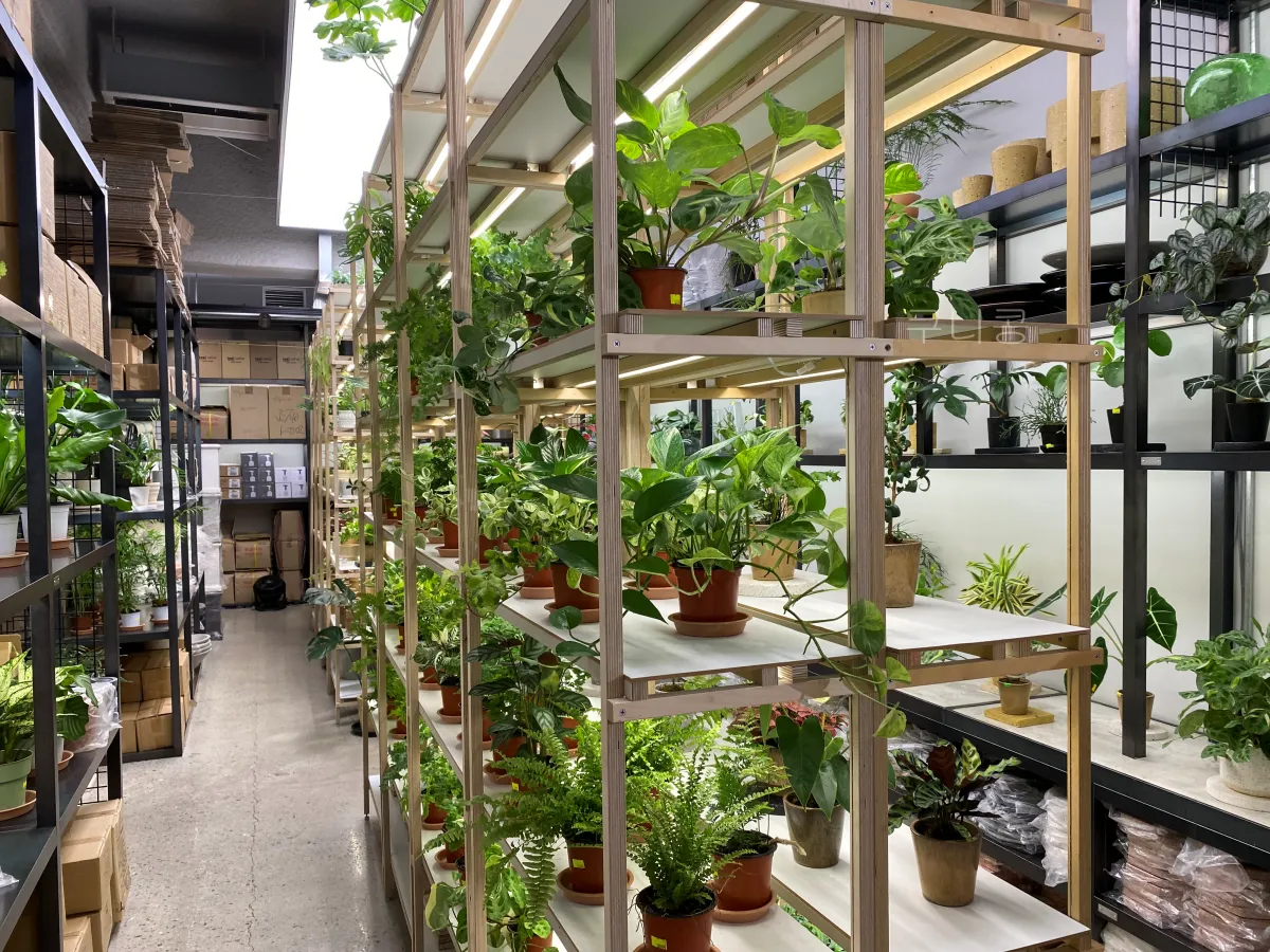 성수동-식집사-갈만한-곳-추천,-식물-구경하기-좋은-틸테이블