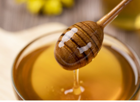 설악산백담벌꿀