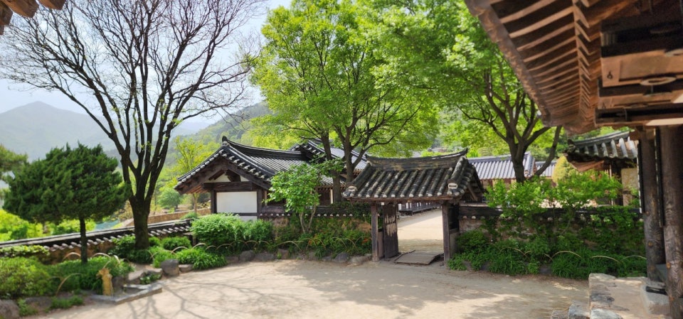 하동 신선대 구름다리