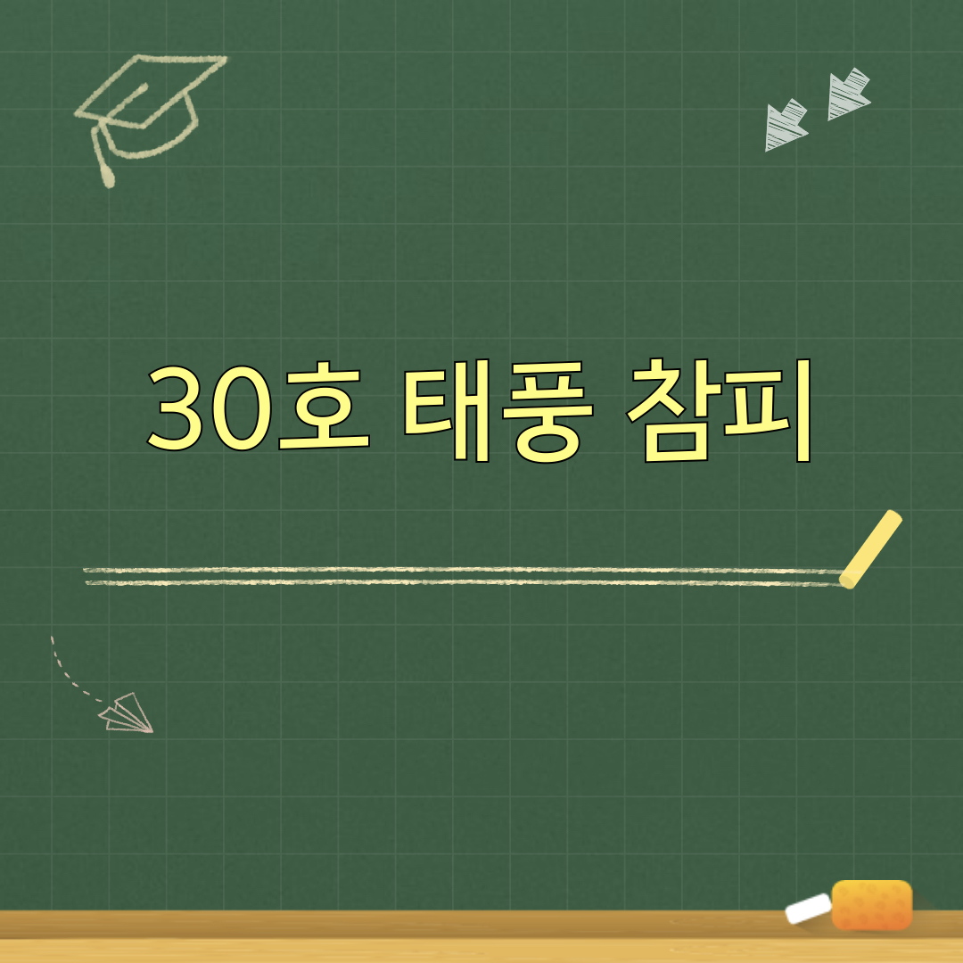 30호태풍참피