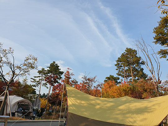 광교호수공원 가족캠핑장 대표이미지