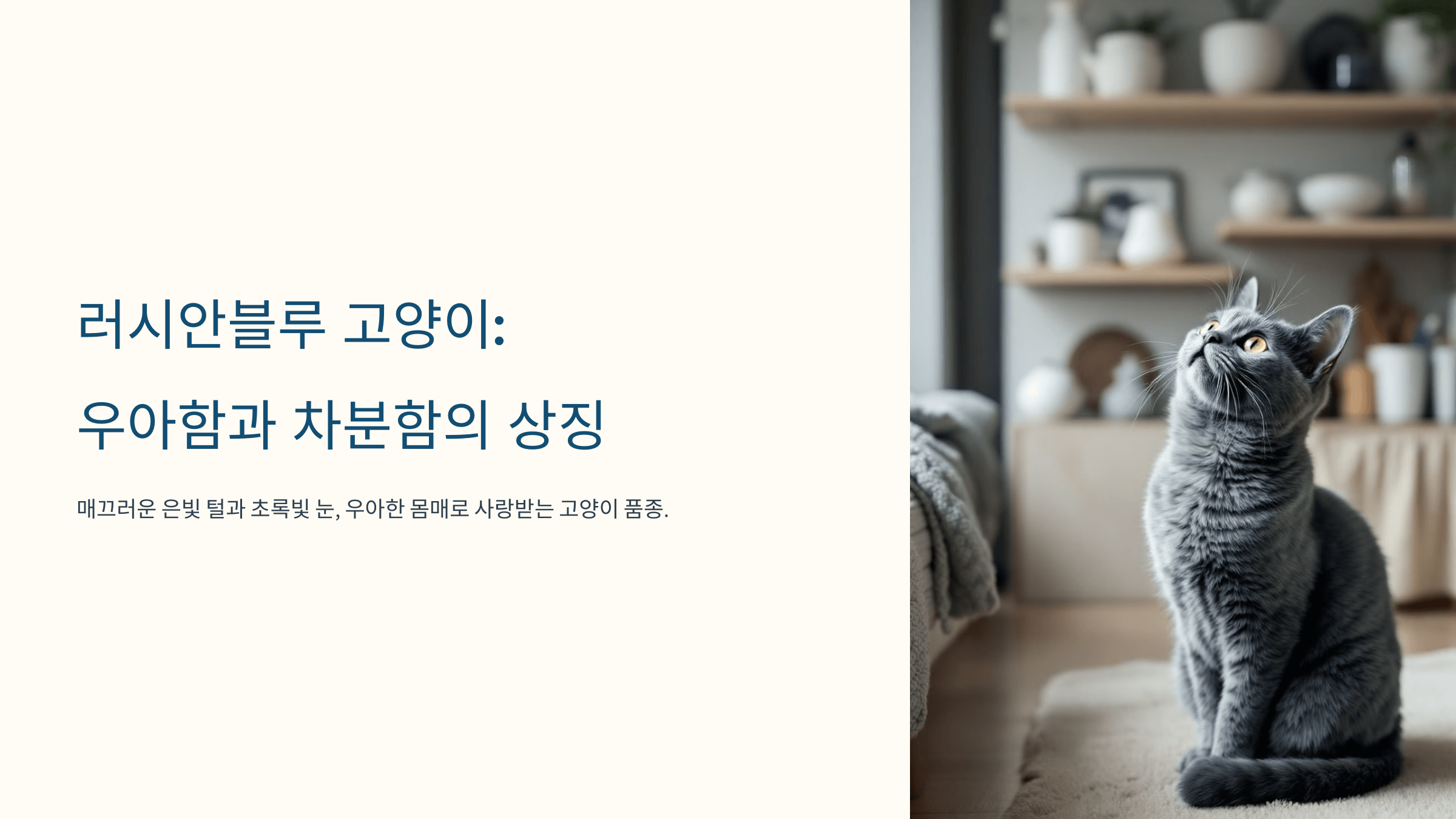 러시안블루 고양이 사진입니다.