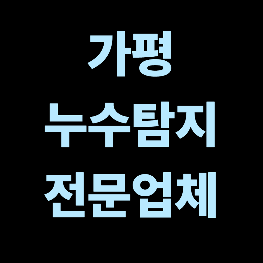 가평 누수탐지 전문업체