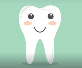 어금니