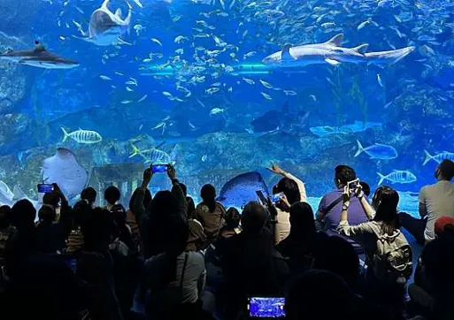 코엑스아쿠아리움
