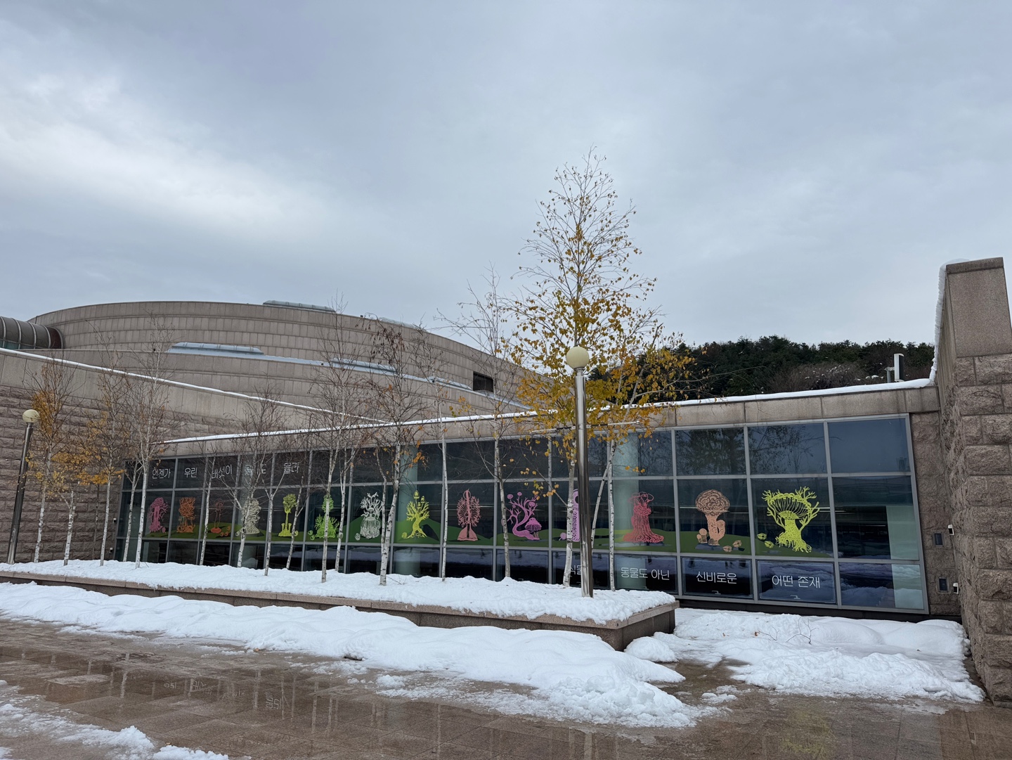 국립현대미술관