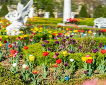 퍼스트가든 봄꽃축제 블루밍가든_16