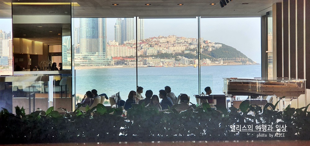 22년 1월 아고다 호텔 할인코드 (국내/전세계 전용호텔 할인코드) 할인금액제한 없음, 숙박기한 제한없음 (~2022.03.31)