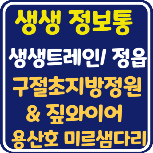 생생 정보통 정읍 여행 구절초지방정원&amp; 짚와이어 용산호 미르샘다리: 생생트레인 강산해