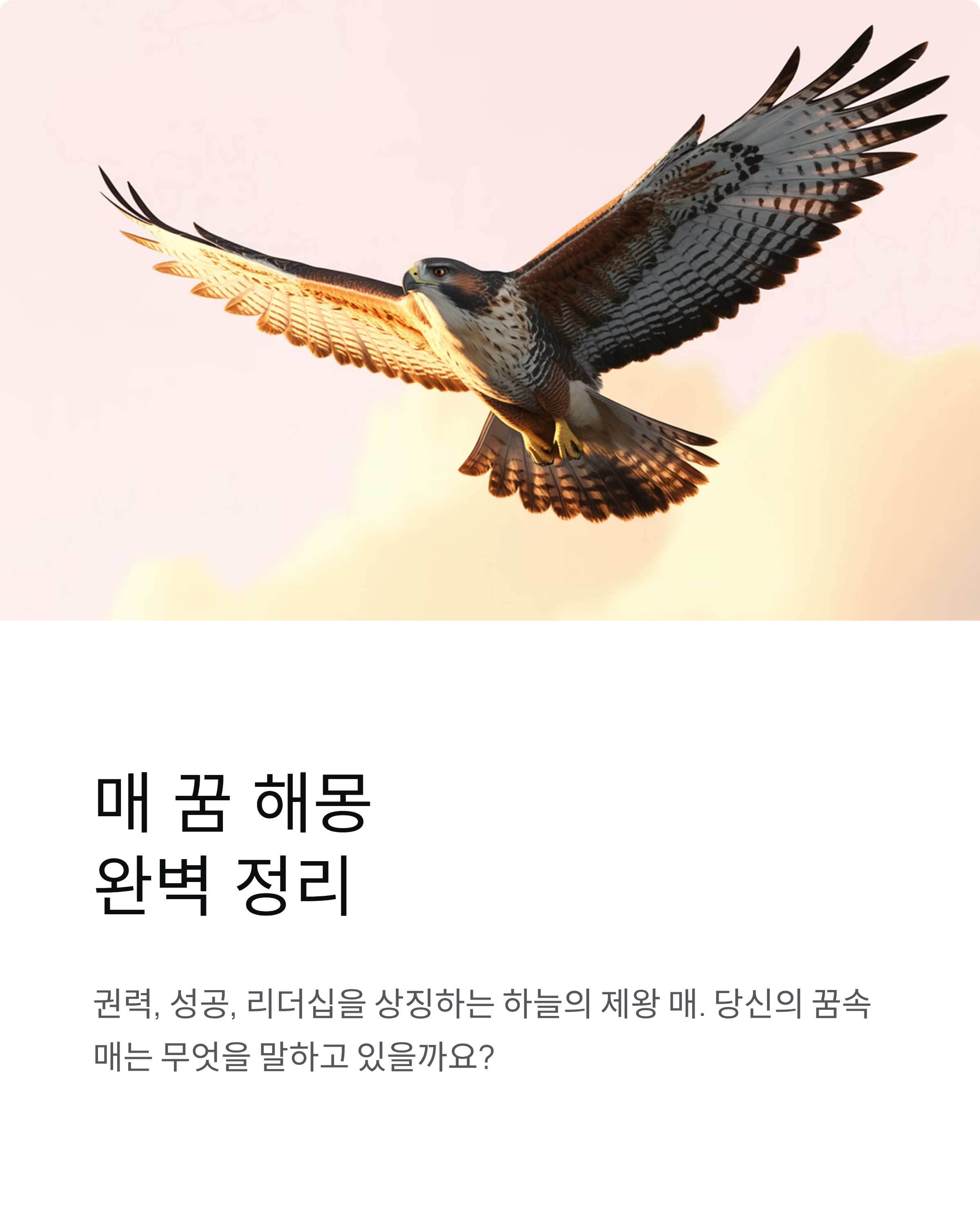매 꿈 해몽 완벽 정리! 권력상징 태몽 길몽 맹금류 독수리 의미 총정리
