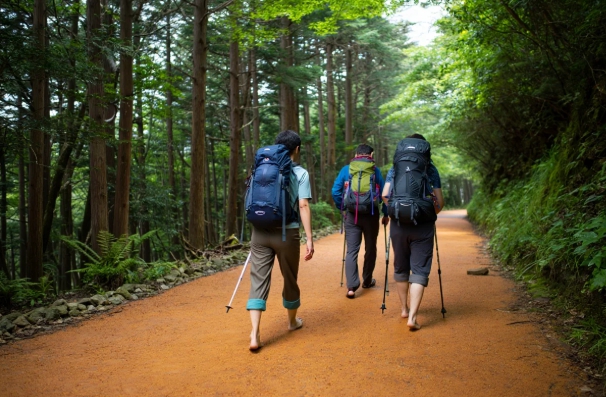 대전계족산황토길