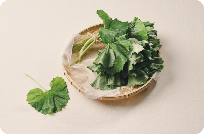 축농증에-좋은-음식-마늘