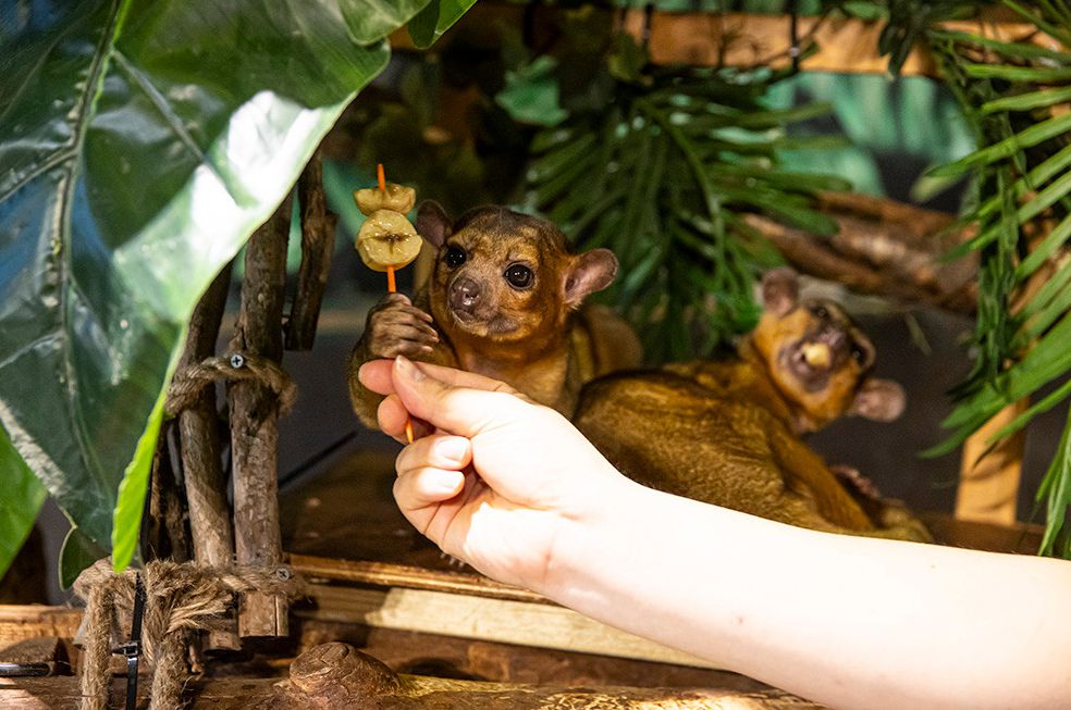 주렁주렁 동물원 경주점