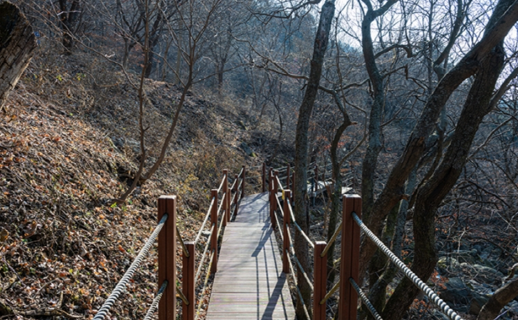 축령산 등산코스