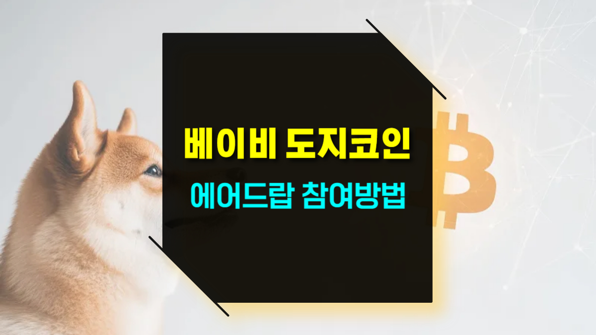 베이비 도지코인 에어드랍 받는법과 주의사항