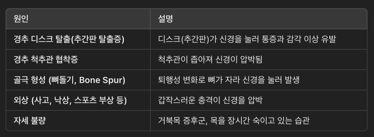 경추 신경근병증의 원인