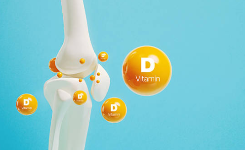 비타민D 효능