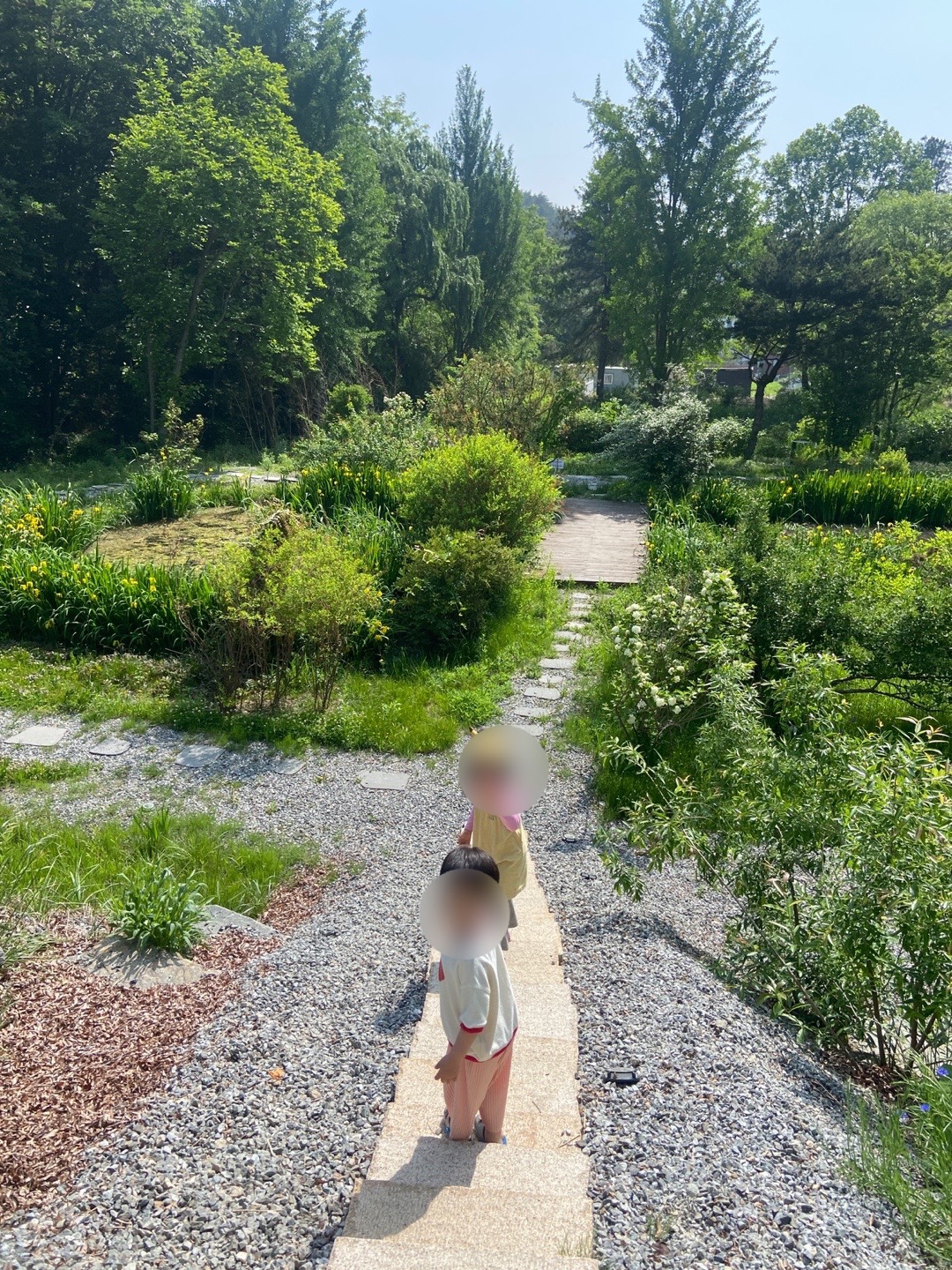 마켓쉘터