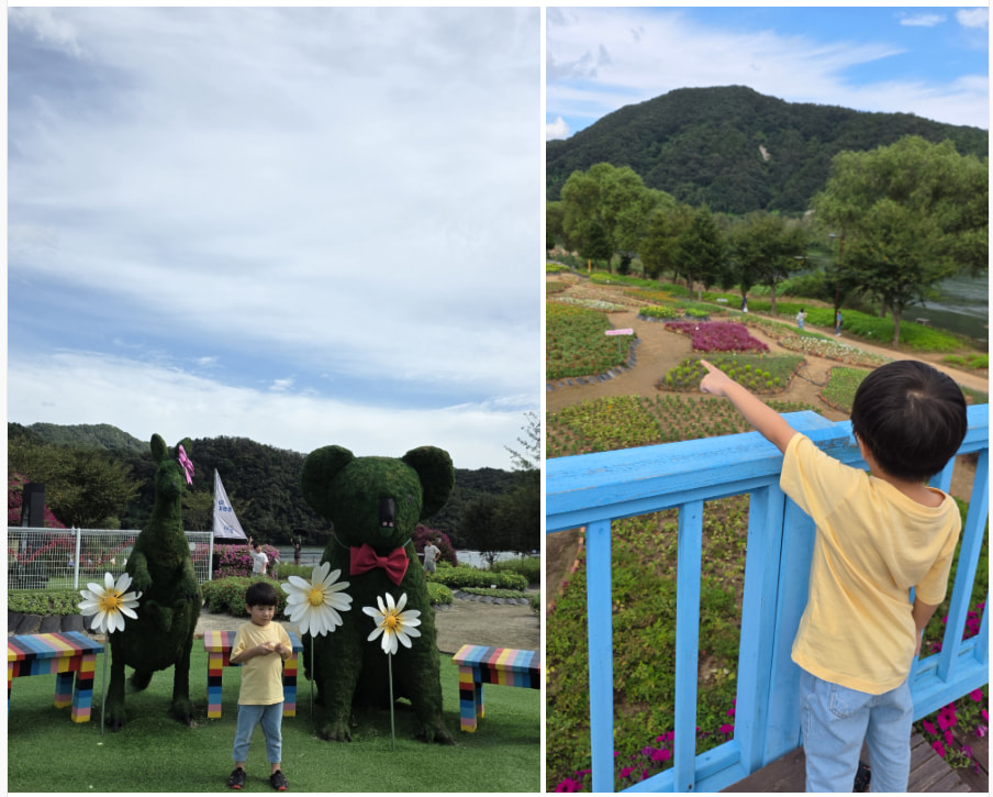 자라섬 (2025 꽃 페스타)