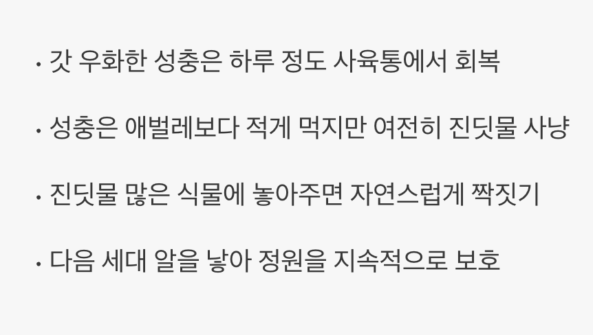 텃밭의 수호신, 성충 관리하기