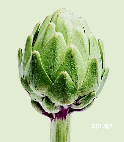 소화불량 개선