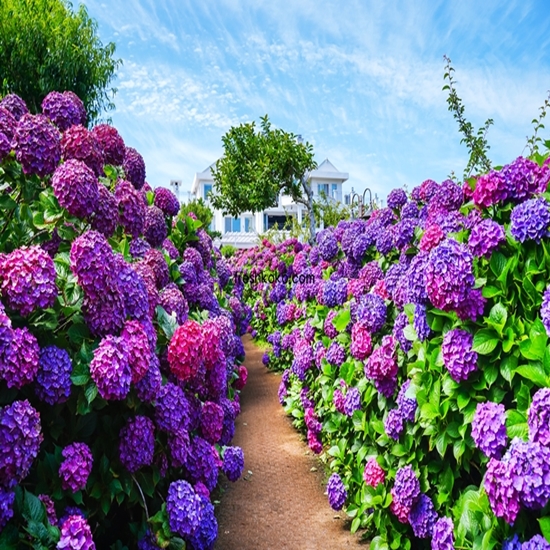 7월 축제 가볼만한곳 10곳 여행지 추천
