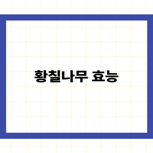 황칠나무 효능 —
간 기능과 면역력을 깨우는 '인삼 나무'의 비밀