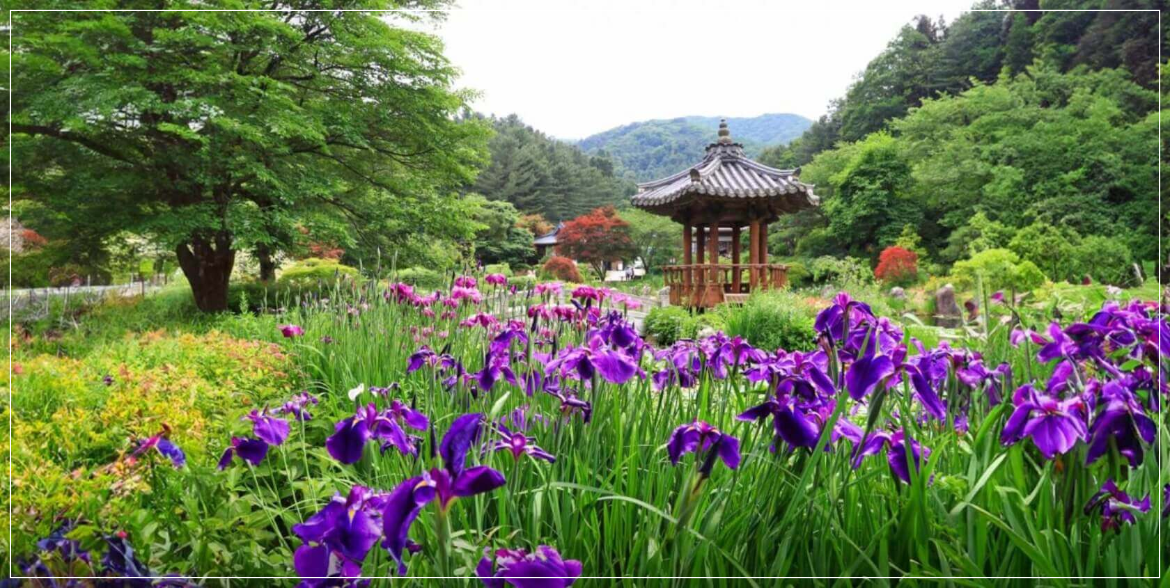 가평 가볼만한곳 베스트10 자라섬 남도꽃정원