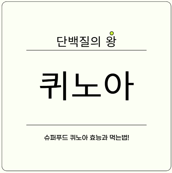 퀴노아, 단백질의 왕이라 불리는 이유와 올바른 섭취법