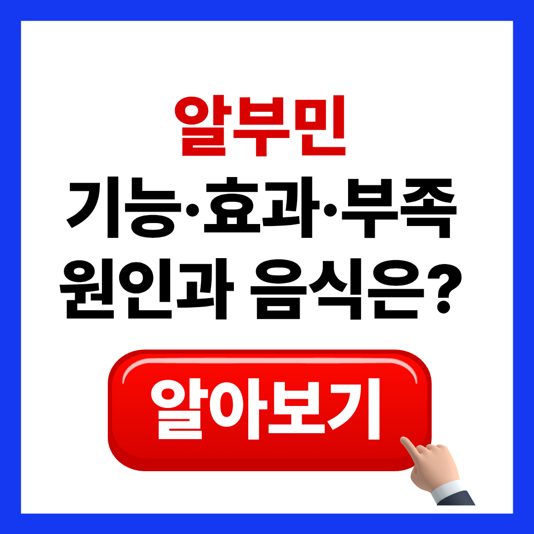 알부민 효능과 부족 증상, 음식 및 영양제 추천 가이드