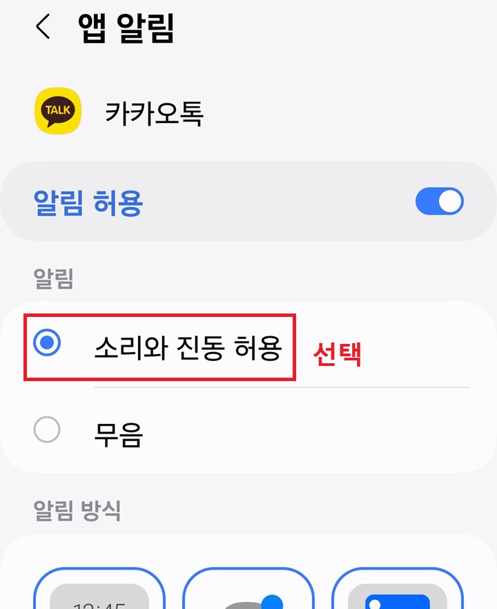 소리와 진동 허용 선택란 보임