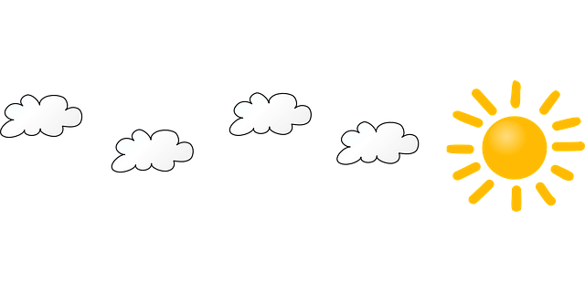 실시간 날씨 CCTV