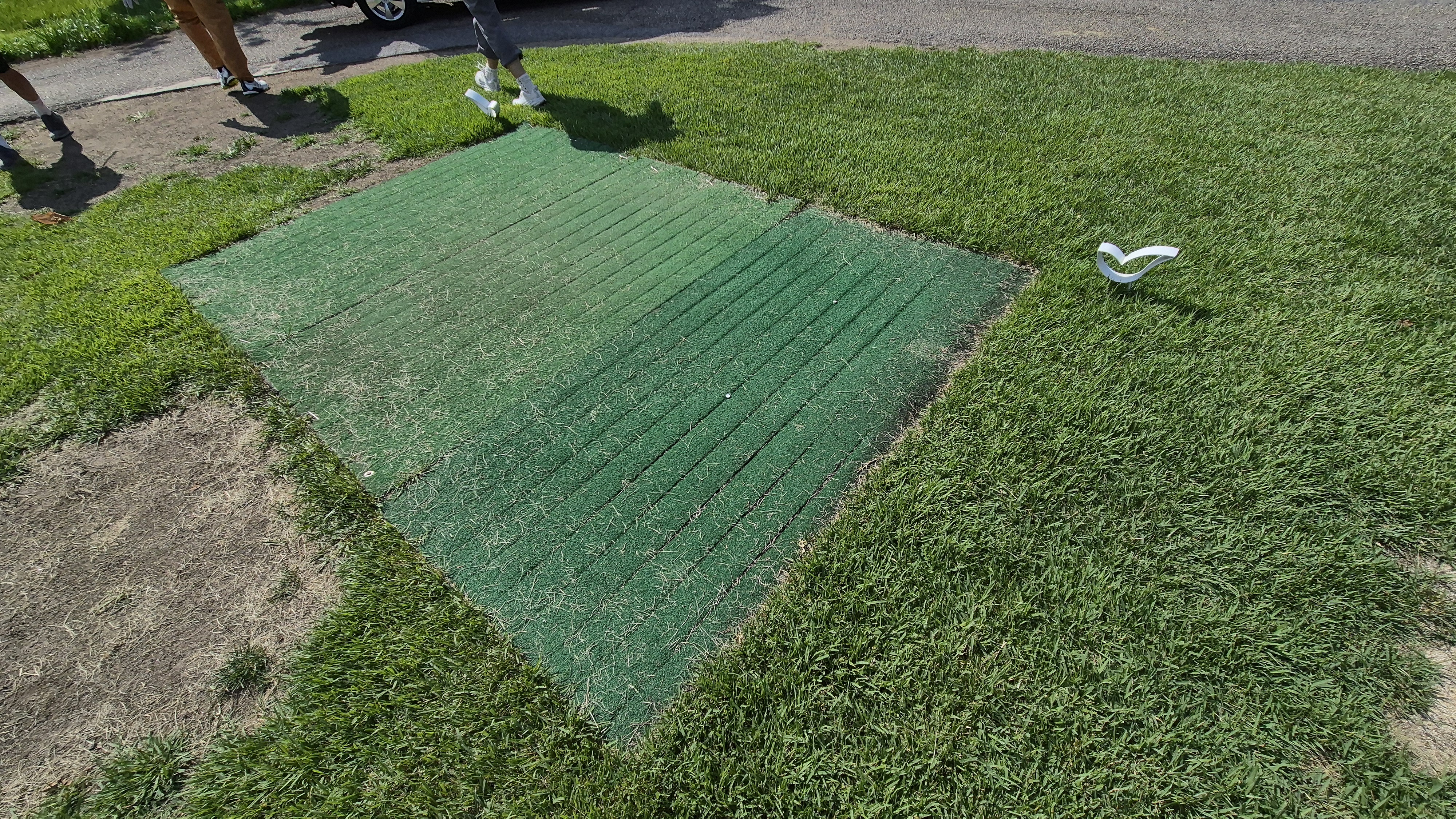 태광cc 북-서 코스 라운드 후기